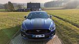 Ford Mustang 5.0 Ti-VCT V8 GT  1 .Hand  - blaue Ford Mustang
