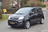 Fiat Panda Automatik ALU Klima PDC *GARANTIE - Fiat Panda mit Benzin-Antrieb: Kleinwagen, Automatik