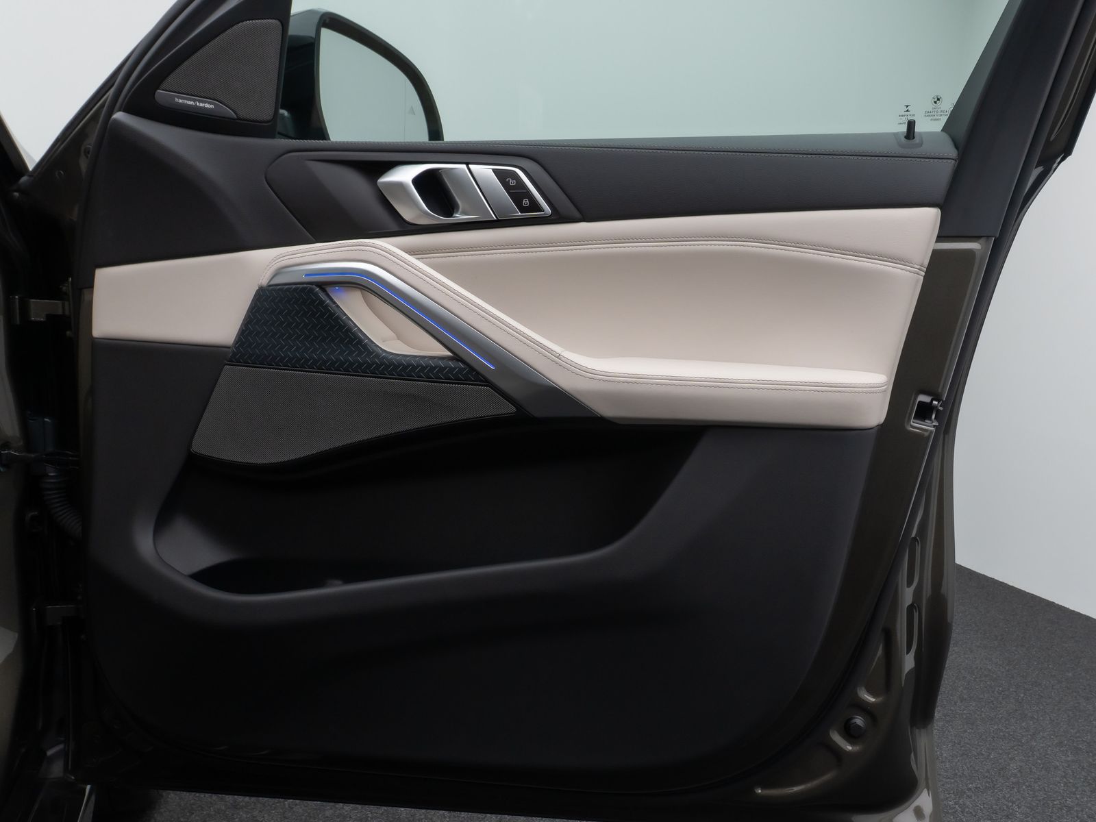 Fahrzeugabbildung BMW X6 M50i Individual Panorama HUD DAB H/K 22Zoll