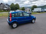 Fiat Panda 1.2 8V Dynamic - gebrauchte Fiat Panda aus dem Jahr 2004