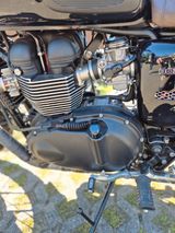 Triumph Bonneville T100 Black  / 986 MF / Customized - Offers matching your search criteria
