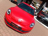 Volkswagen Beetle Lim. Sport, Fender Edition, Leder , Xenon - gebrauchte Volkswagen Beetle aus dem Jahr 2013