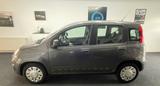 Fiat New Panda 1.2 Garagenwagen Rentner geb.1940 - Fiat aus 2018