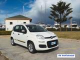 Fiat Panda 1.2 Young - Fiat Panda Young mit Benzin-Antrieb