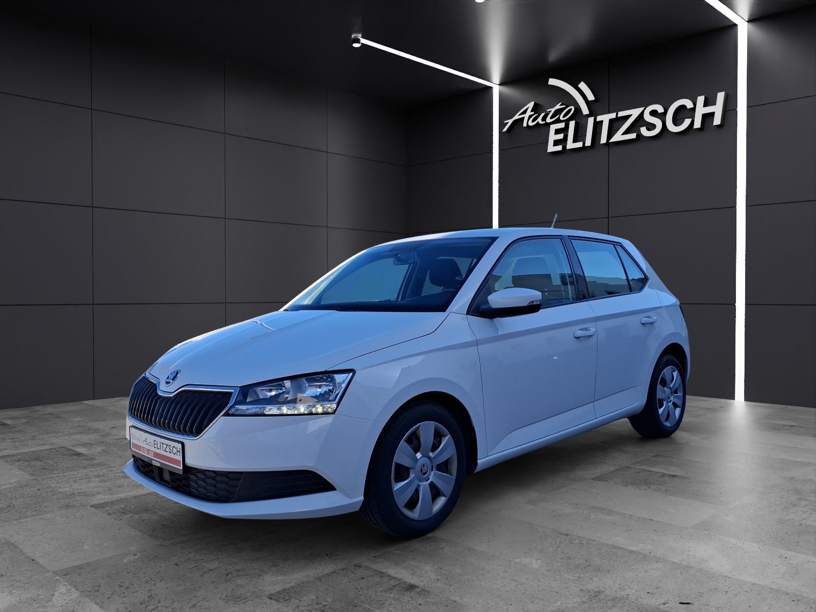 Fahrzeugabbildung SKODA Fabia 1.0 TSI TSI Ambition NAVI SHZ APP GRA