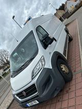 Fiat Ducato, Transporter, Kastenwagen - Fiat: Transporter