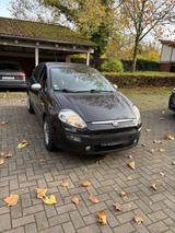 Fiat punto Evo 5T 1.4i Dynamic - Fiat Punto Evo in Hannover