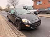 Fiat Punto Young 1.2 *KLIMA+NAVI+1HAND* - Fiat Punto YOUNG mit Benzin-Antrieb