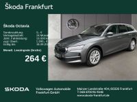 Skoda Octavia - Vorschau Bild 1