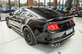 Ford Mustang GT 5,0 GT 500 SHELBY PERORMANCE - Ford Mustang: Shelby Gt500