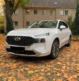 Hyundai SANTA FE 2.2 CRDi Prime 4WD-7 Sitzer. - Hyundai SANTA FE: 7