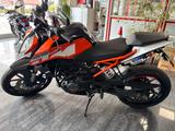 KTM Duke 125 - KTM DUKE 125