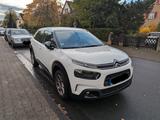 Citroën C4 Cactus PureTech 110 S&S Shine Shine - Citroën C4 Cactus von privat