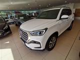 Ssangyong Rexton 2.2 Sapphire 4x4 LED|Navi|ACC - Ssangyong: Weiß, Rexton