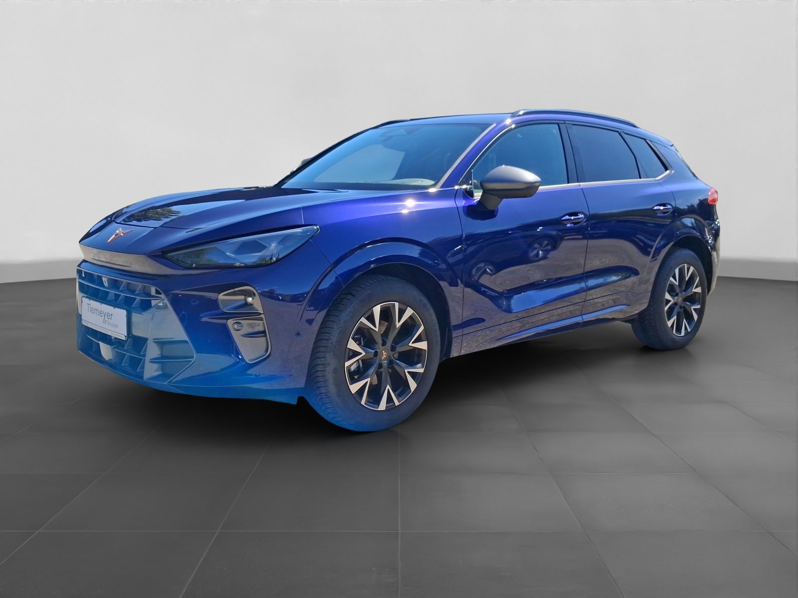 Cupra Terramar - Bild 2