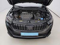 Skoda Karoq - Vorschau Bild 21