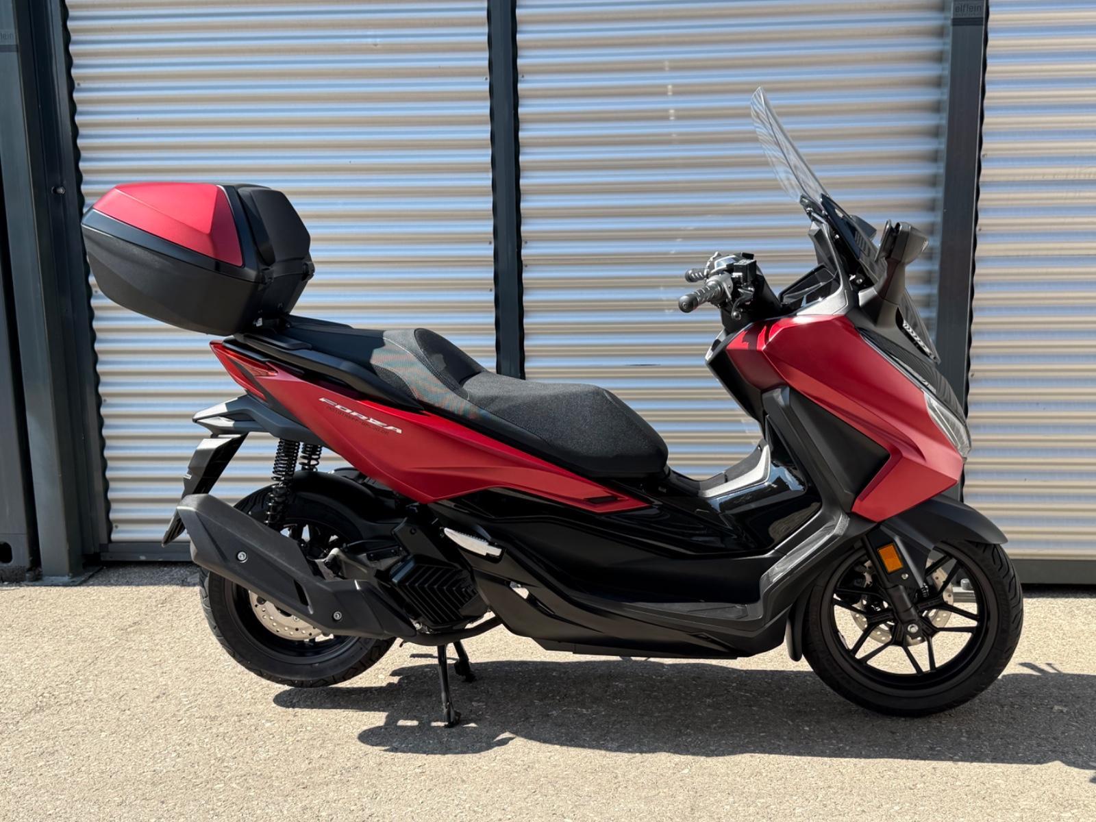 Honda FORZA 125 / SEHR GEPFLEGT / NEUER SERVICE !!