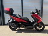 Honda FORZA 125 / SEHR GEPFLEGT / NEUER SERVICE !! - HONDA ROLLER 125