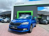 Skoda FABIA Clever  1,0 TSI 70 kW 95 PS - Skoda Fabia: 1.9