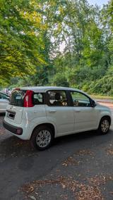 Fiat Panda 1.2 8V Easy - Fiat Panda EASY mit Benzin-Antrieb