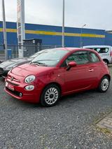 Fiat 500 Cult+HYBRID+NAVI+KLIMA+PDC++ - Fiat 500 Cult mit Hybrid-Antrieb (Benzin/Elektro)