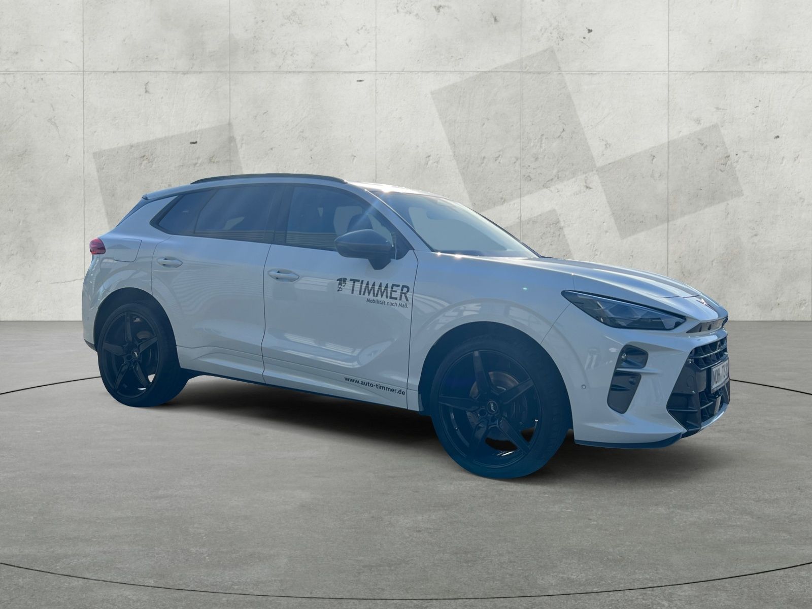 Cupra Terramar - Bild 8