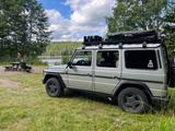 Mercedes-Benz G 300 TD Lang 463 - Mercedes-Benz G 300: G300td