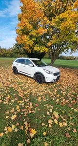 Kia Niro 1.6 GDI Hybrid Edition 7 Edition 7 - Kia mit Hybrid-Antrieb