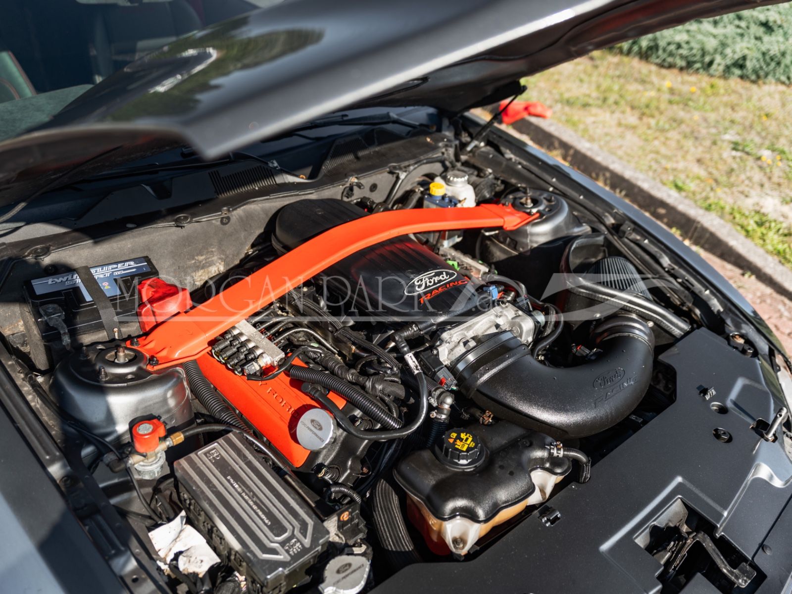 Fahrzeugabbildung Ford Mustang GT *Neidfaktor+480PS*