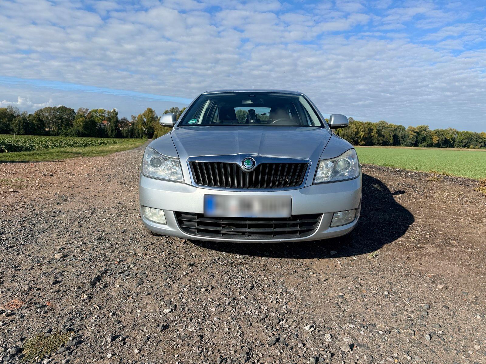 Skoda Octavia 2010 — rear view