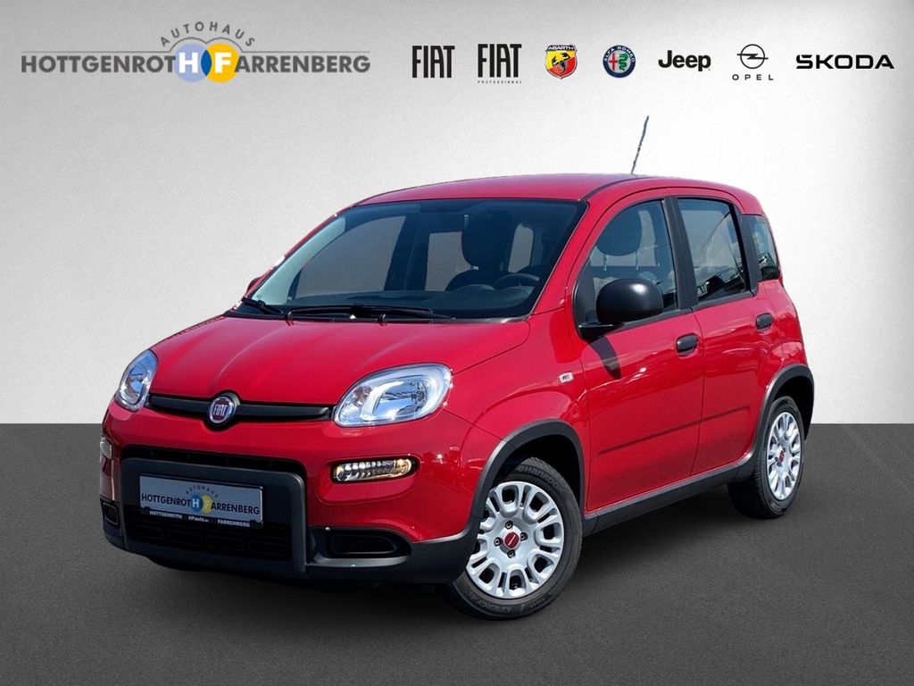 Image of Fiat Panda