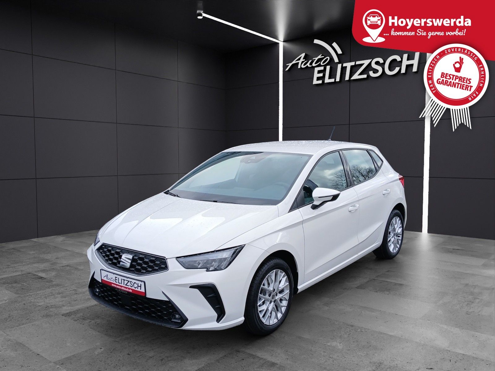 Fahrzeugabbildung SEAT Ibiza 1.0 TSI Style LED Winter-Paket