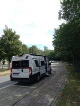 Roller Team Livingstone Duo Sport - Roller Team Livingstone