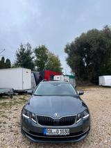 Skoda Octavia Combi L&K - Skoda Autos von Händlern