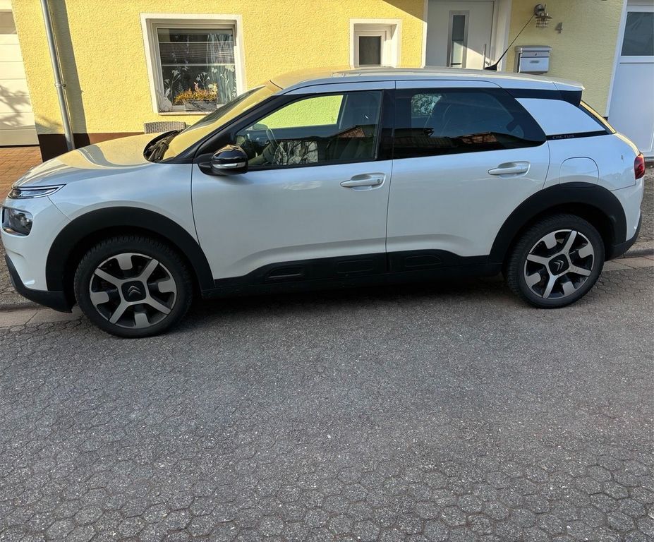Image of Citroën C4 Cactus