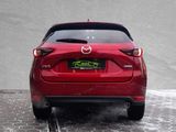 Mazda CX-5 Ad'vantage 2WD 2.5 KAT HUD #DAB #NAVI - Mazda CX-5 aus 2021