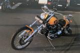 Harley-Davidson Softail Custom Special 1340 (FXST) - HARLEY-DAVIDSON 1996