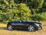 Mercedes-Benz SLK 250 CDI, AMG Paket, Sche... - Mercedes-Benz SLK 250: Cdi