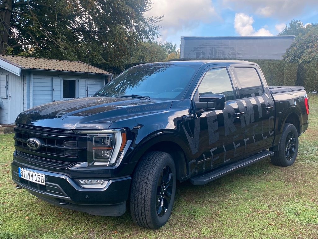 Image of Ford F 150