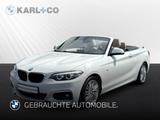 BMW 218 i Cabrio M-Sport Navi Leder SHZ PDC KlimaAut - gebrauchte Cabrios in Wiesbaden