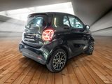 Smart ForTwo EQ Leder DAB Apple Android Kamera LED - Smart ForTwo: Grün