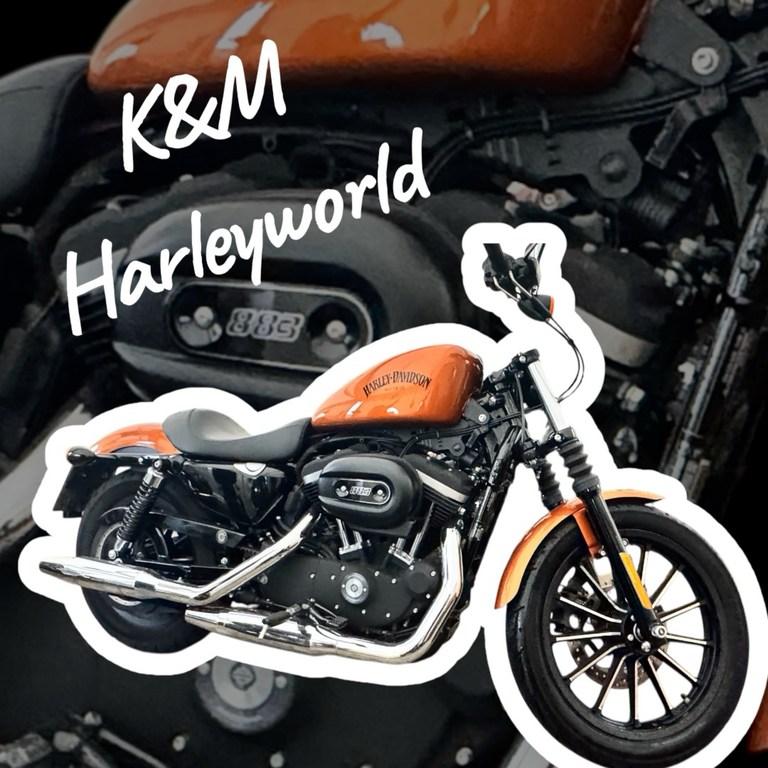 Harley-Davidson IRON Top Zustand, seltene Farbe