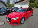 Audi A4 Avant 35 TDI basis - Audi A4: Rot