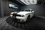 Dodge Challenger 6.4 V8 SRT 392 R/T SCAT PACK Perform. - Dodge Challenger: Srt