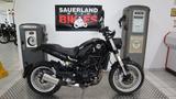Benelli Leoncino 500 Trail - BENELLI LEONCINO 500