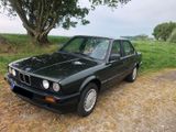 BMW E30 316i Oldtimer BJ.1989 / 205000km /... - BMW 316 aus 1989