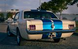 Ford Mustang Coupé V8 289 CUI BJ 66 - gebrauchte Ford Mustang aus dem Jahr 1966