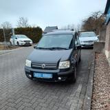 Fiat Panda 1.2 8V Dynamic" TÜV:NEU"GARANTIE" - gebrauchte Fiat Panda aus dem Jahr 2008