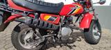Honda CY 50 rot - HONDA CY 50