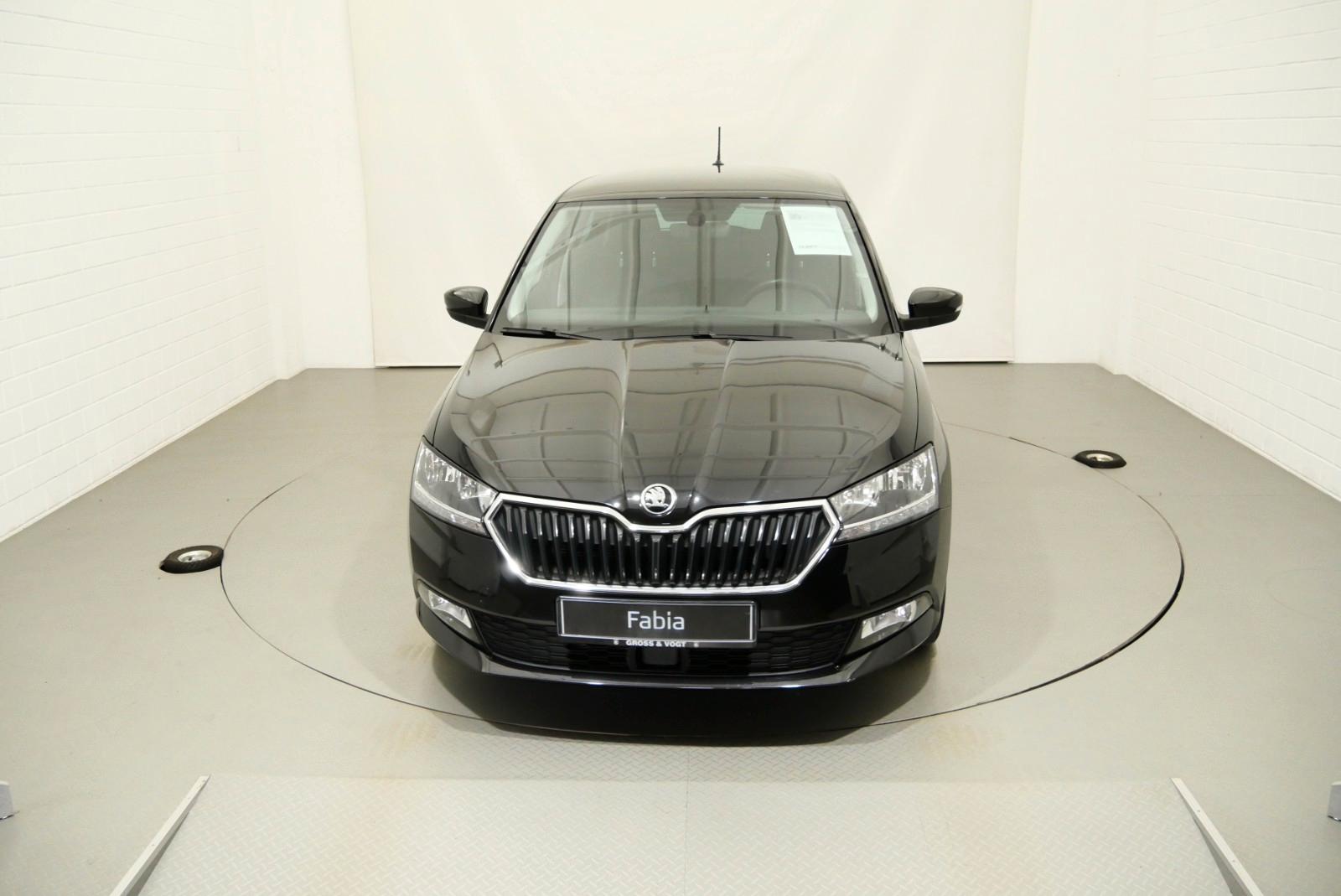 Skoda Fabia Clever 1.0 TSI PDC SHZ